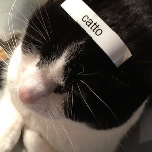 Meet your Posher, Karen